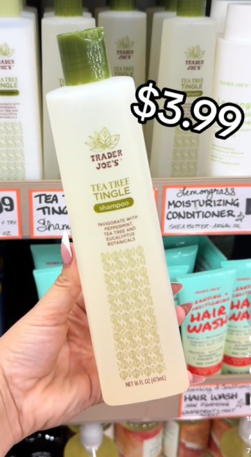 trader joe's tea tree shampoo